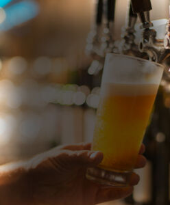 more than 365 options to choose from